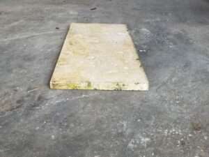 Natural Shell Stone Tile #T4