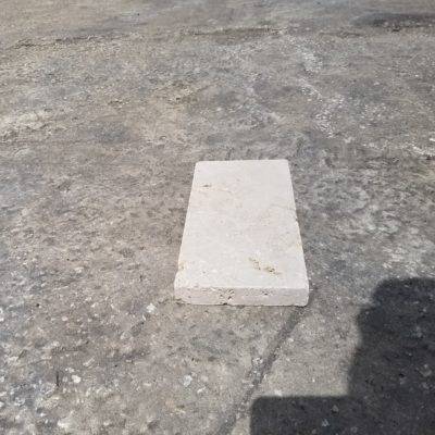 Natural Shell Stone Tile #T13