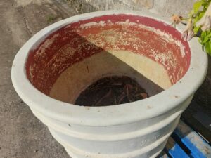 Large Plant Pot