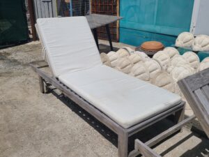 Pool Lounger w/Cushion