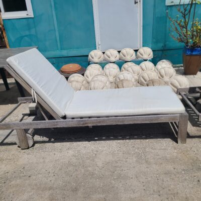 Pool Lounger w/Cushion